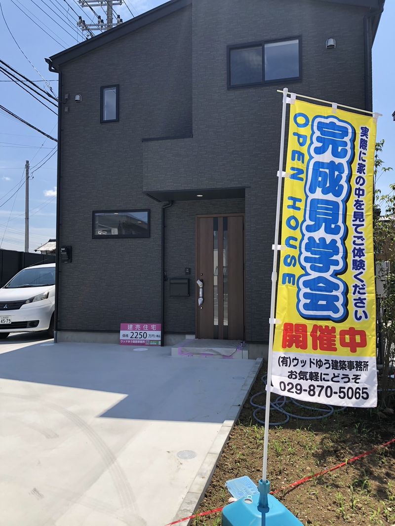 S__53108763.jpg