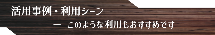 活用事例・利用シーン -このような利用もおすすめです